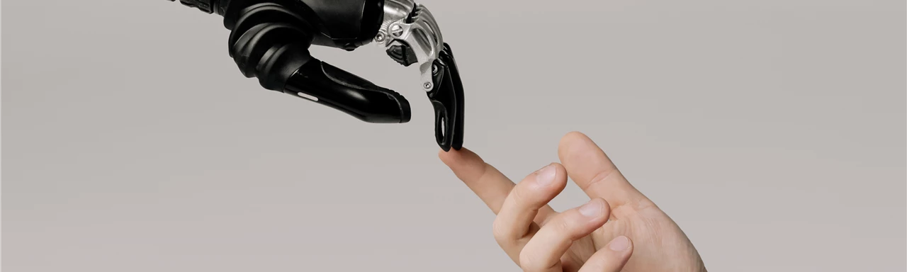 Bionic Hand and Human Hand Finger Pointing