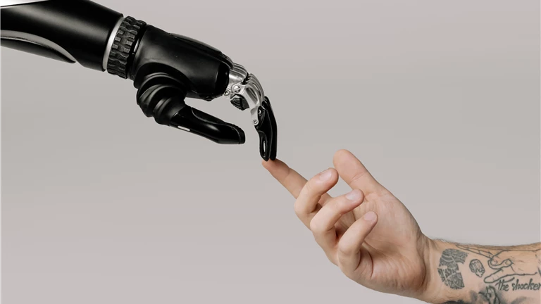 Bionic Hand and Human Hand Finger Pointing